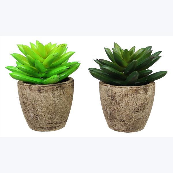 Artificial Succulents